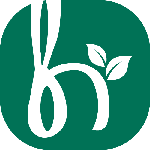 Herleya
